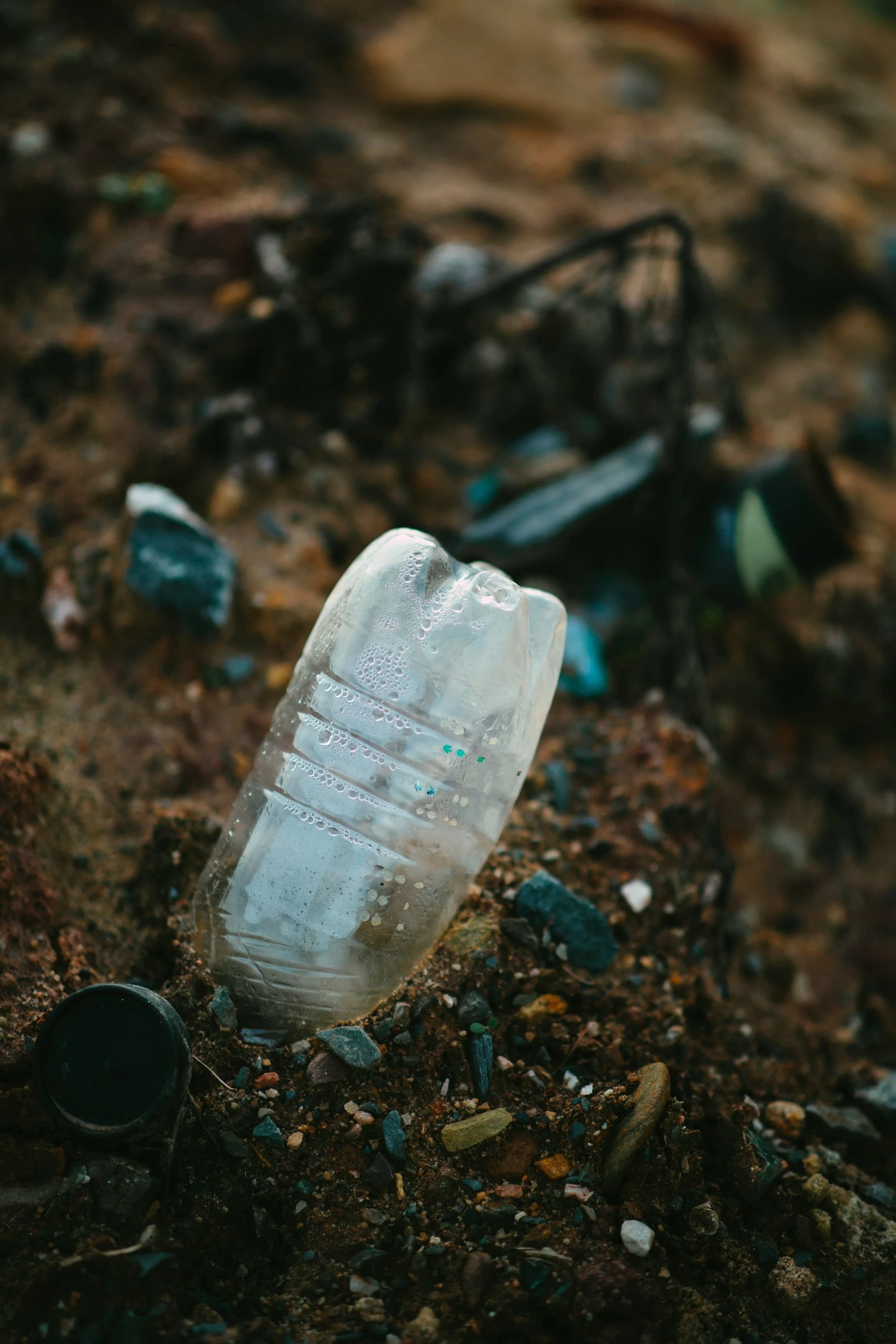 Environment